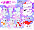 Jessica Chinchilla Reference Sheet by DanielMania123