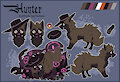Hunter the Poochyena