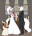 [C] The Wedding