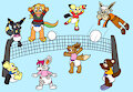 Volleyball Game -By RitaTheWoodpecker-