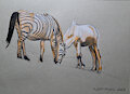 A Zebra and a Horse Graze by caramelthecalf
