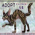 ADOPT CAT №9 - 5$ [OPEN] by Kedarianare