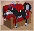 Couch Wolfy