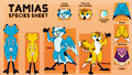 [COM] Tamias Species Sheet by SonieTheDog