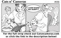 Cats n Cameras Strip 155 - Keep up slow poke!