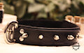 Spiked Leather Collar