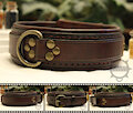 Brown and Brass Leather Collar