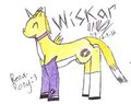 the wiskar Pony :P