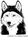 Wolf/Husky Lineart Coloring