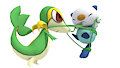 Snivy used Wrap by 7hops