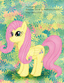 MLP Fluttershy [1]