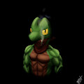 Killer the Treecko by Weatherthunder809