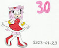30 years of Amy Rose by KatarinaTheCat18