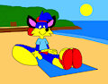 Alex the fox sitting at the beach