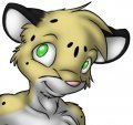 Super Spotty Salmy's Shaded Sides 
