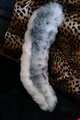 snow leopard tail by vonneko