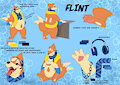 Flint's Ref by blazingflare
