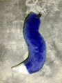 Curvey Dark Blue Fox Tail with Light Blue Tip - Commission by LascivusLutra