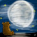 Bear watching the moon