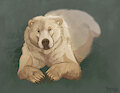 Peaceful Bear