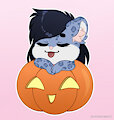 Halloween pumpkin Talia