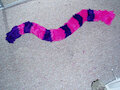 Pink and Purple Cat Tail (Circa 2009)