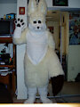 Fennec Fursuit (Circa 2009)