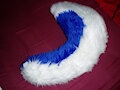 Blue Husky Tail (2010)