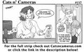 Cats n Cameras Strip #157 An unsuspected face