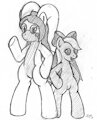 Pony Pose Practice