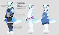 Orion by DXshade