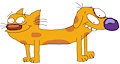 CatDog - CatDog