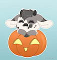 [C] Halloween pumpkin Asher