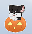 [C] Halloween pumpkin