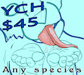 YCH auction Feet Licking