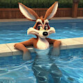 Wile Coyote in pool 1 by katoga