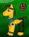 Tommy the Green Ranger Pony [1]