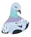 Twitch Stream: Sexy Pigeon