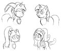 Pone Practice (TP)