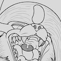 Absol's Bizarre Tongue-Piercing! by CurryTheBun