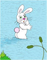 A bunny  on the water!