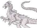 My Pipa's Dragon by Dragonair9000