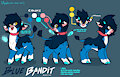 The Blue Bandit - Reference Sheet. by AzuLej0