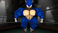 Sonic Ready to Rumble