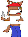 Wolf Pirate