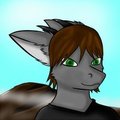Icon for Kandit