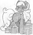 Gailpone Concept