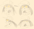 Klonoa profile studies by B00B00Keys