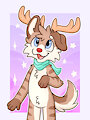 Coille dogdeer! by Coille