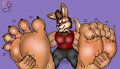 Seths Roo Toesies